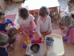 dokarmiamy ptaki zima